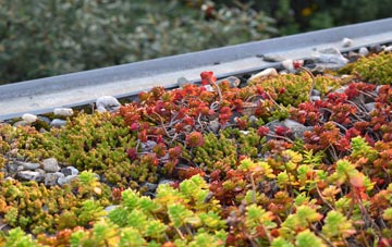 the cost of Yealmbridge green roof installation