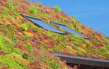 Yealmbridge living roof systems