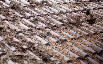 Yealmbridge roof cleaning companies